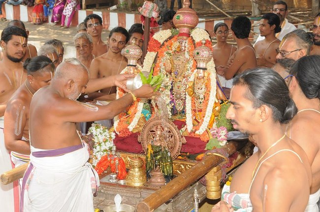 Lower Ahobilam Sri Lakshmi Narasimha Swami Temple Brahmotsavam Concludes14