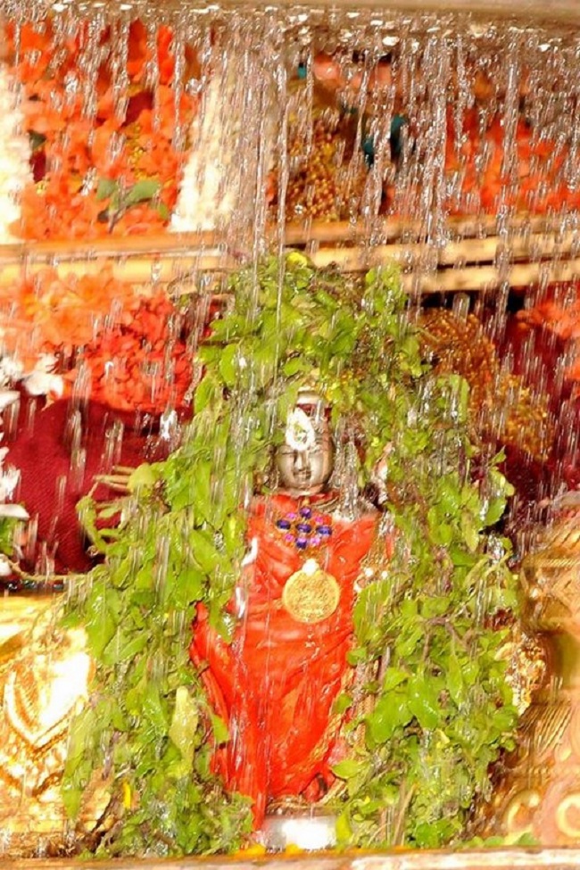 Lower Ahobilam Sri Lakshmi Narasimha Swami Temple Brahmotsavam Concludes31