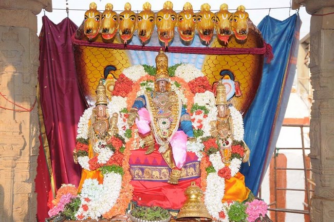 Lower Ahobilam Sri Lakshmi Narasimha Swami Temple Brahmotsavam12