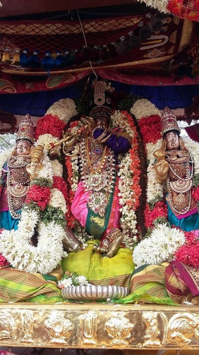 Lower Ahobilam Sri Lakshmi Narasimha Swami Temple Brahmotsavam16