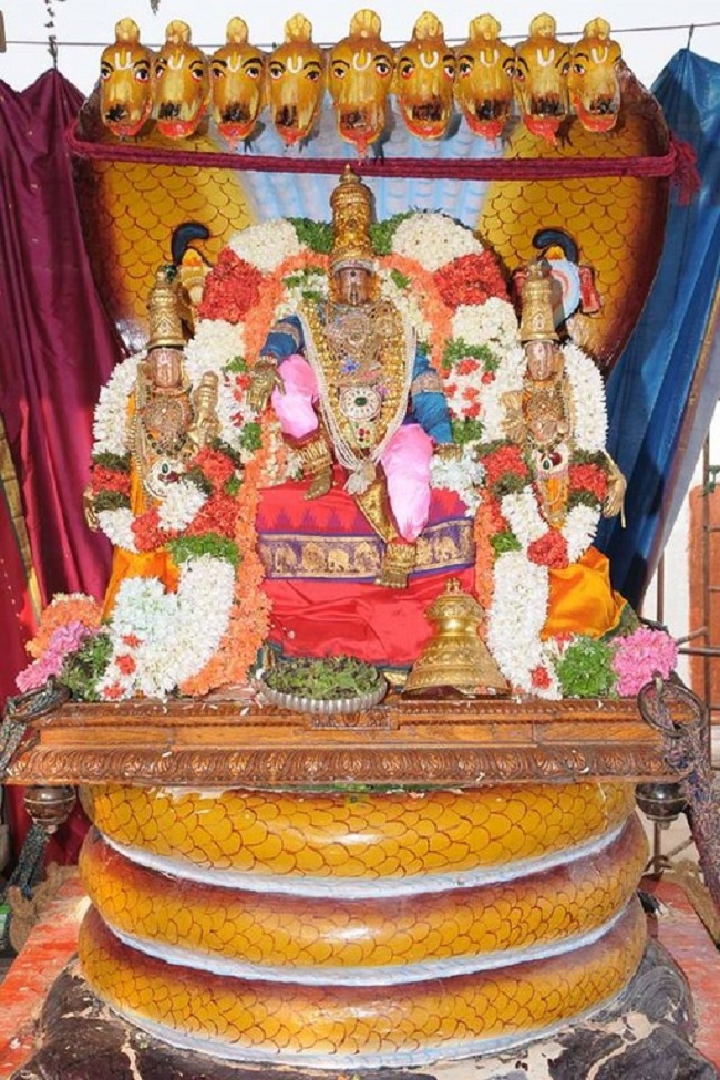Lower Ahobilam Sri Lakshmi Narasimha Swami Temple Brahmotsavam24