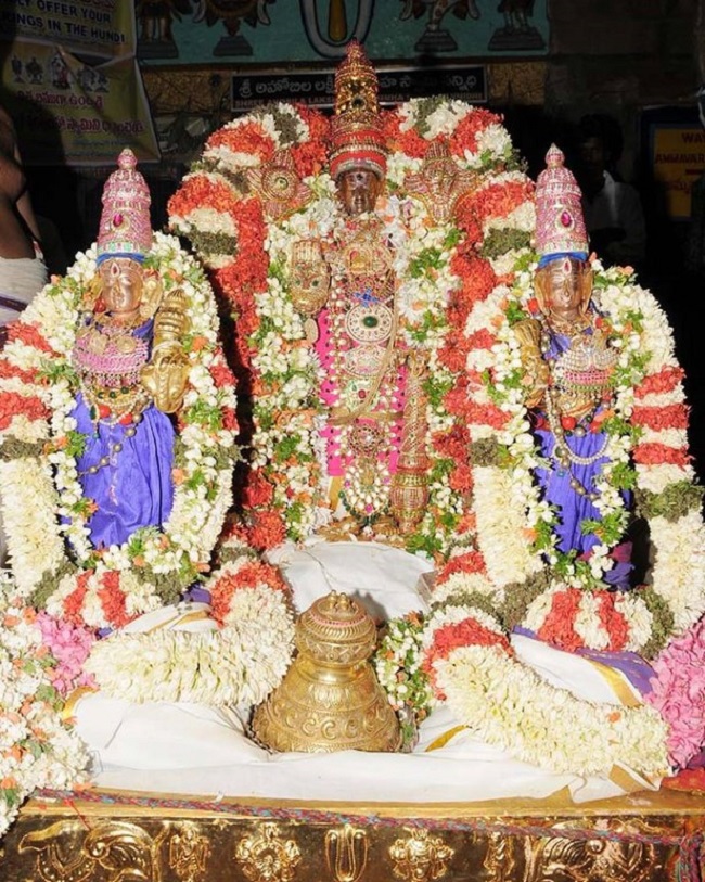 Lower Ahobilam Sri Lakshmi Narasimha Swami Temple Theppothsavam Concludes22