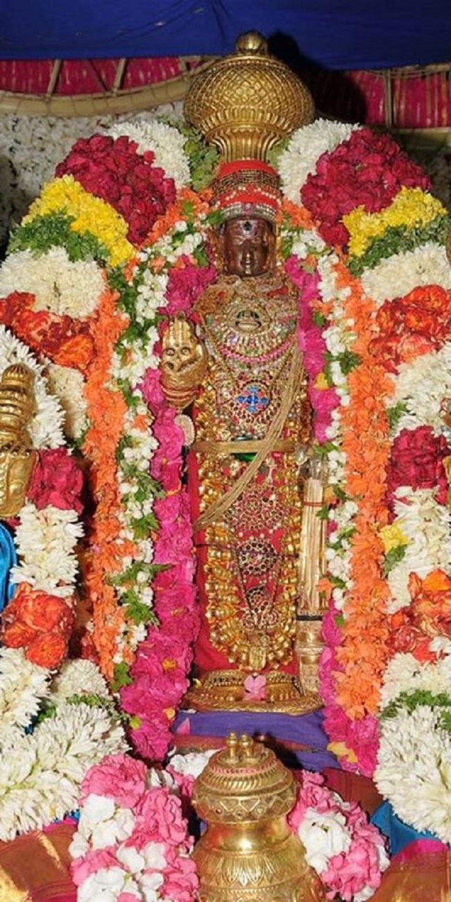 Lower Ahobilam Sri Lakshmi Narasimha Swami Temple Theppothsavam15