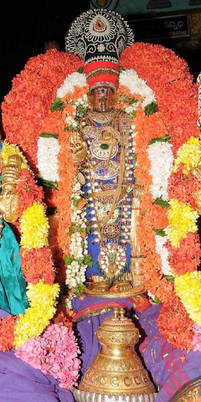 Lower Ahobilam Sri Lakshmi Narasimha Swami Temple Theppothsavam16