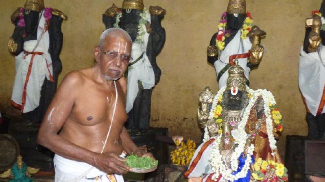 Maasi Hastha Tirumanjanam at the Brindavanam of 44th Srimadh Azhagiasingar 2015 -41