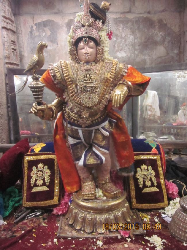 Mannagudi Sri Rajagopalan temple brahmotsavam day 10 2015 -02