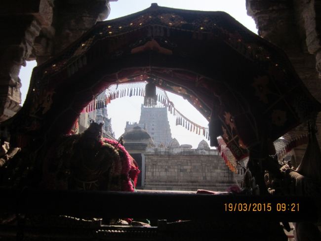 Mannagudi Sri Rajagopalan temple brahmotsavam day 10 2015 -12