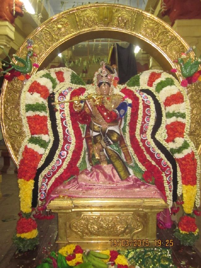 Mannagudi Sri Rajagopalan temple brahmotsavam day 10 2015 -31