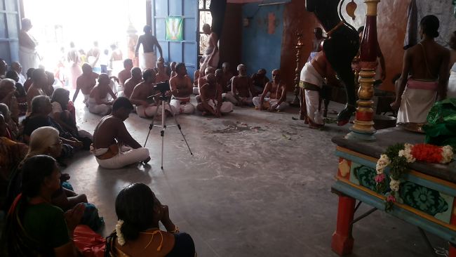 Mannargudi Rajagopalaswami Temple Brahmotsavam day 4 2015 -05