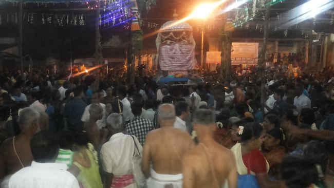 Mannargudi Rajagopalaswami Temple Brahmotsavam day 4 2015 -11