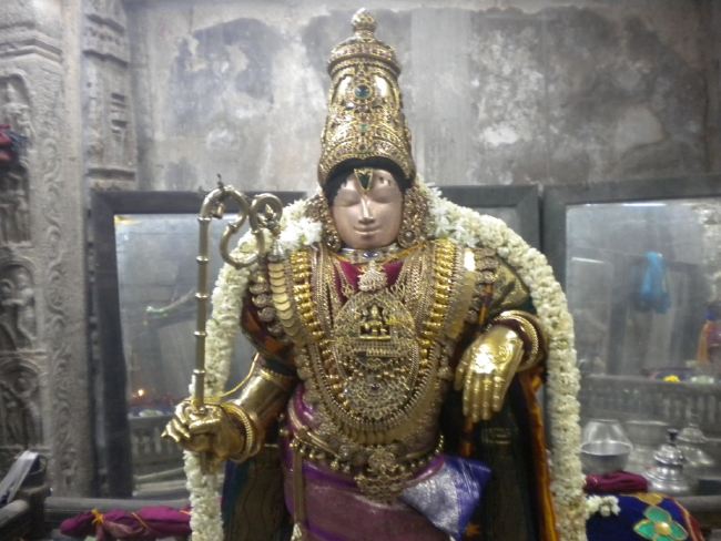 Mannargudi Rajagopalaswami Temple Brahmotsavam day 4 2015 -19