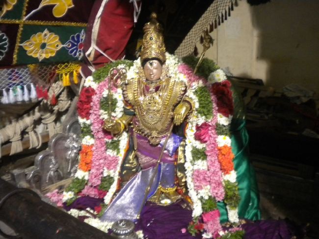 Mannargudi Rajagopalaswami Temple Brahmotsavam day 4 2015 -21