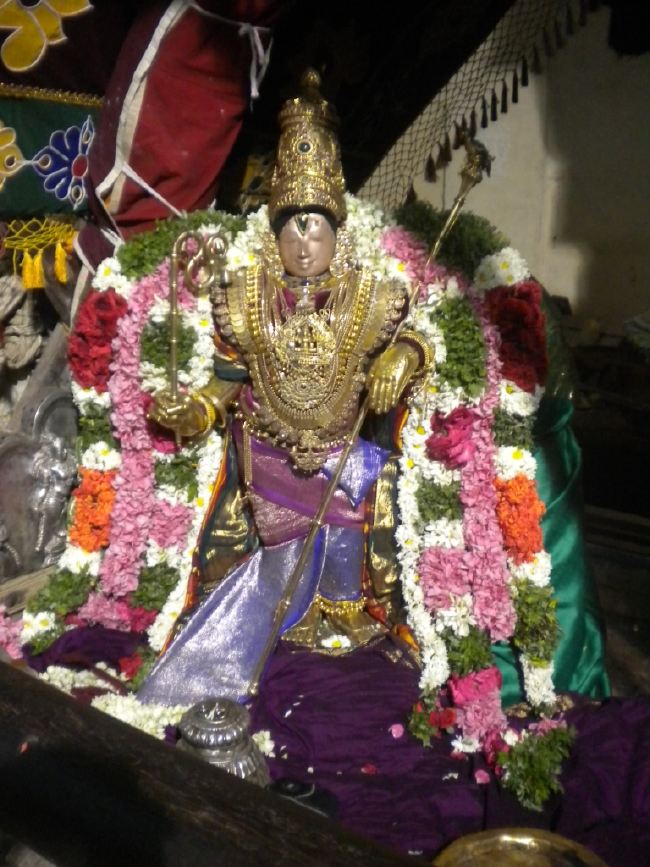 Mannargudi Rajagopalaswami Temple Brahmotsavam day 4 2015 -22