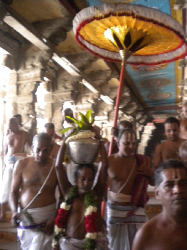 Mannargudi Rajagopalaswami Temple Brahmotsavam day 4 2015 -25