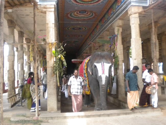 Mannargudi Rajagopalaswami Temple Brahmotsavam day 4 2015 -26