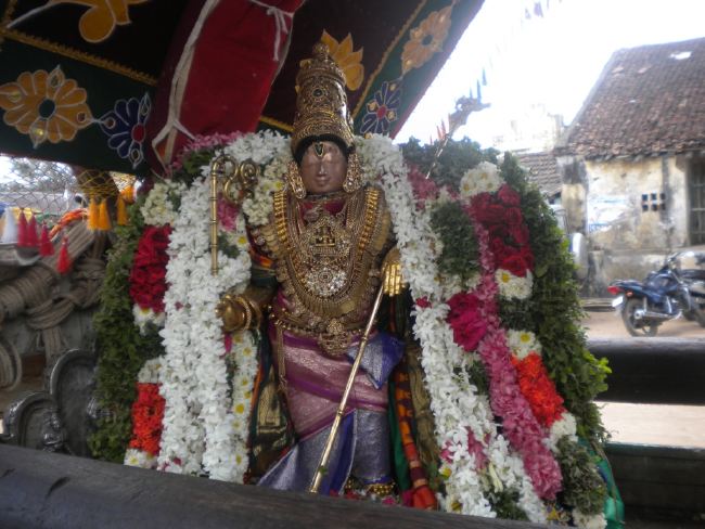 Mannargudi Rajagopalaswami Temple Brahmotsavam day 4 2015 -27