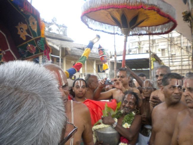 Mannargudi Rajagopalaswami Temple Brahmotsavam day 4 2015 -31