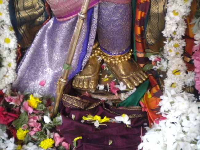 Mannargudi Rajagopalaswami Temple Brahmotsavam day 4 2015 -37