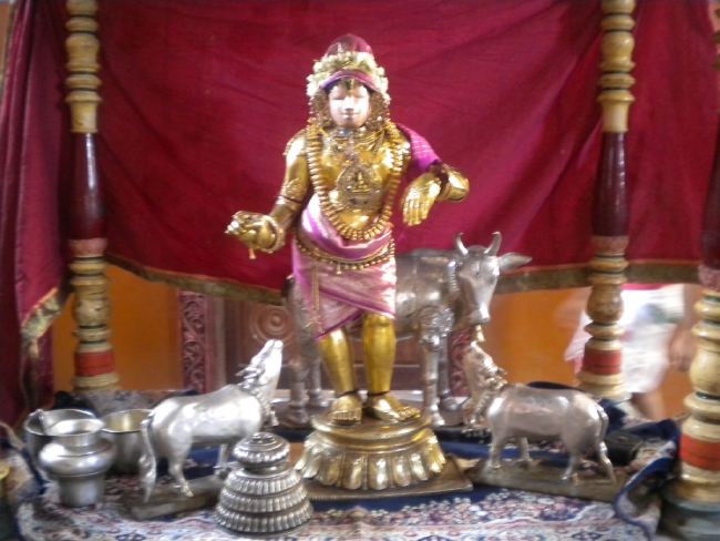 Mannargudi Rajagopalaswami Temple Brahmotsavam day 4 2015 -47