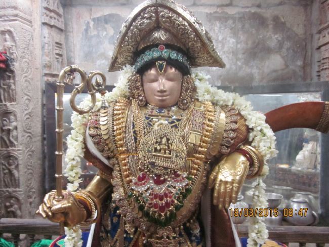 Mannargudi Rajagopalaswami Temple brahmotsavam 2015 -02