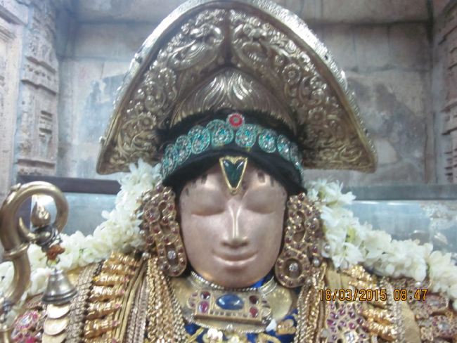 Mannargudi Rajagopalaswami Temple brahmotsavam 2015 -03