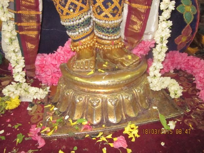Mannargudi Rajagopalaswami Temple brahmotsavam 2015 -04
