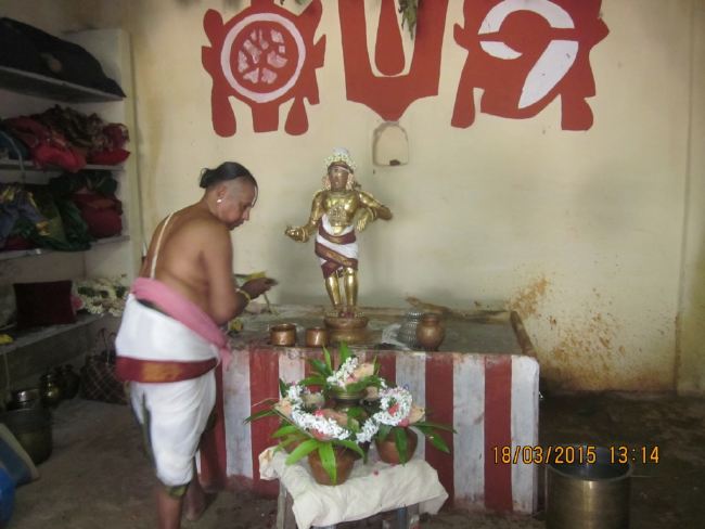 Mannargudi Rajagopalaswami Temple brahmotsavam 2015 -14