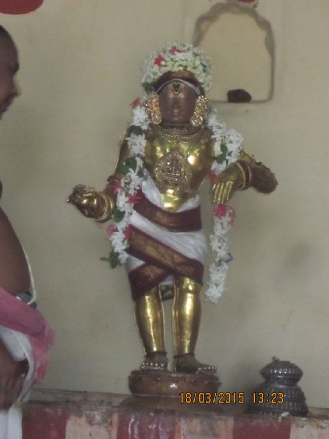 Mannargudi Rajagopalaswami Temple brahmotsavam 2015 -19