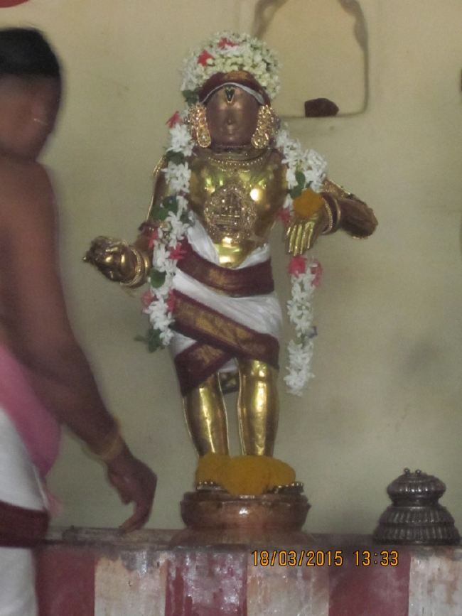 Mannargudi Rajagopalaswami Temple brahmotsavam 2015 -25