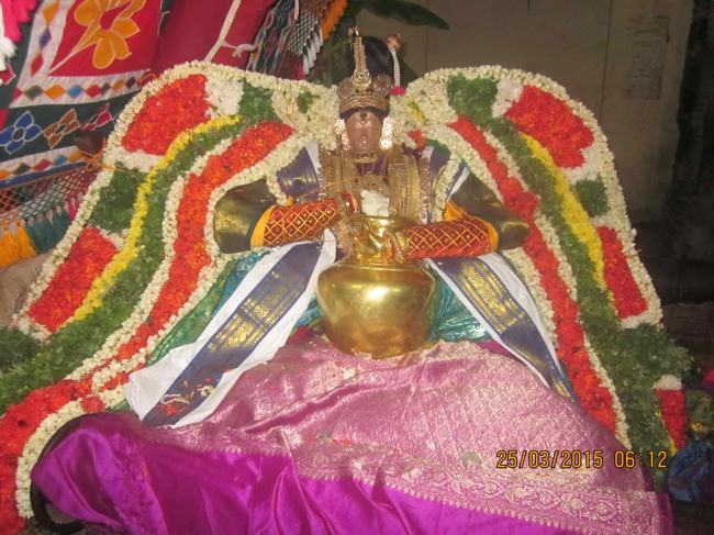 Mannargudi Sri Rajagopalan Brahmotsavam Day 15-2015-0005