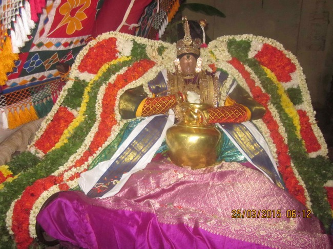 Mannargudi Sri Rajagopalan Brahmotsavam Day 15-2015-0006