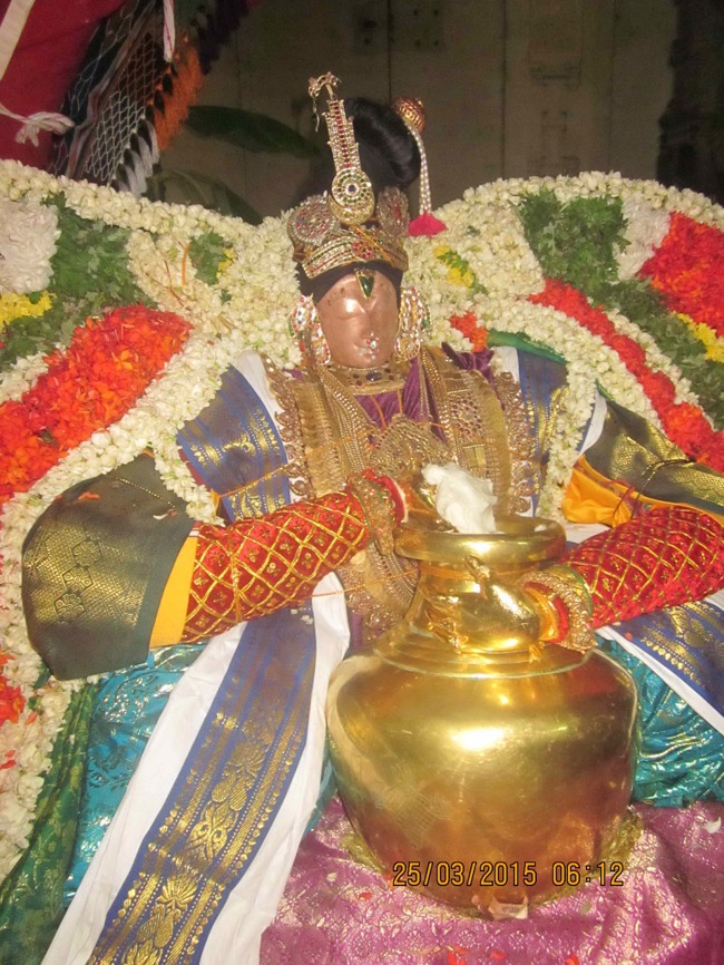 Mannargudi Sri Rajagopalan Brahmotsavam Day 15-2015-0007
