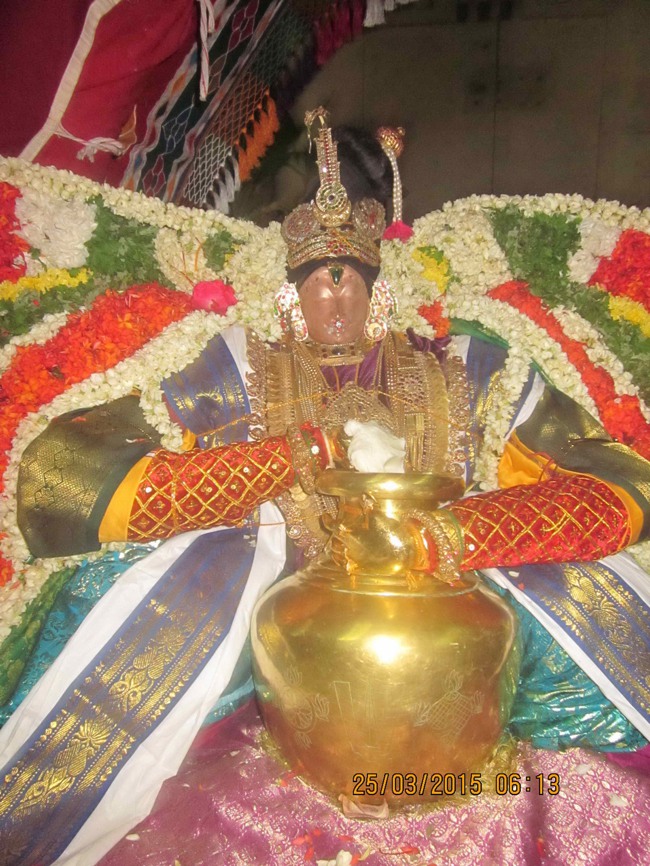 Mannargudi Sri Rajagopalan Brahmotsavam Day 15-2015-0010