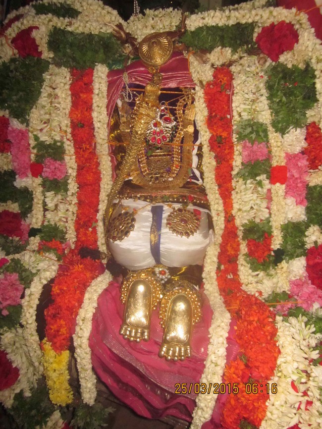 Mannargudi Sri Rajagopalan Brahmotsavam Day 15-2015-0017