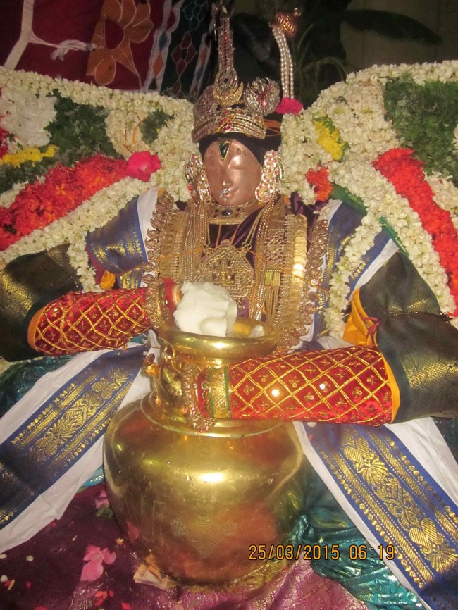Mannargudi Sri Rajagopalan Brahmotsavam Day 15-2015-0020