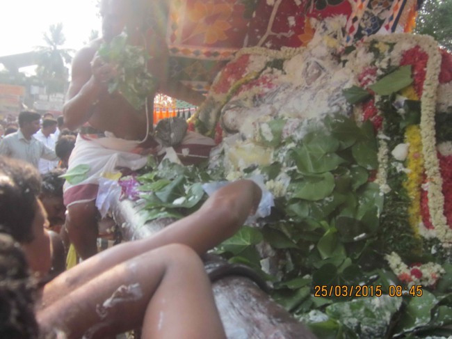 Mannargudi Sri Rajagopalan Brahmotsavam Day 15-2015-0024