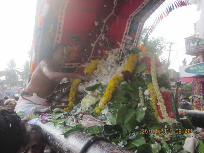Mannargudi Sri Rajagopalan Brahmotsavam Day 15-2015-0028