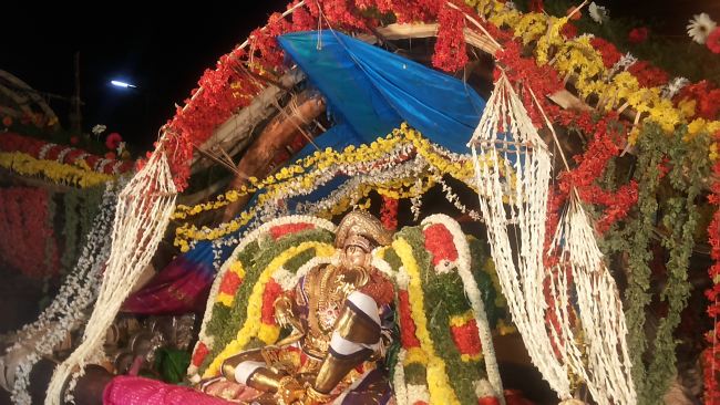 Mannargudi Sri Rajagopalan Brahmotsavam day 7 Pushpa Pallaku  2015 -03
