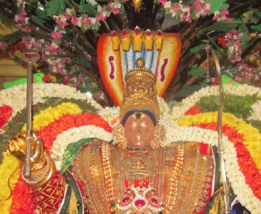 Mannargudi Sri Rajagopalan Brahmotsavam day 8 2015