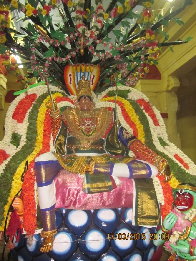 Mannargudi Sri Rajagopalan Temple Brahmotsavam day 8 2015 -03