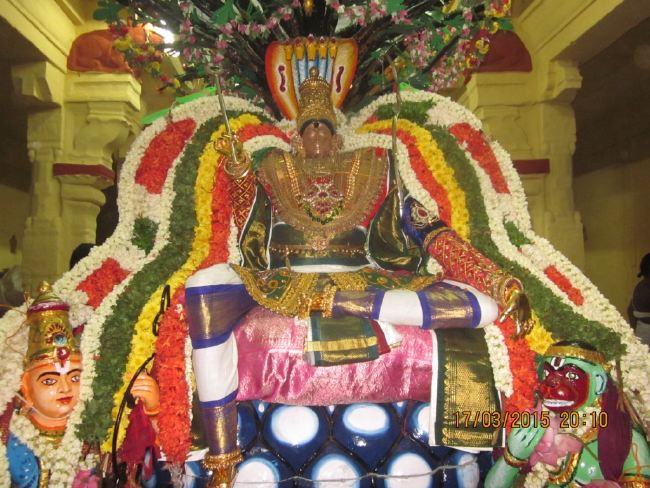 Mannargudi Sri Rajagopalan Temple Brahmotsavam day 8 2015 -05