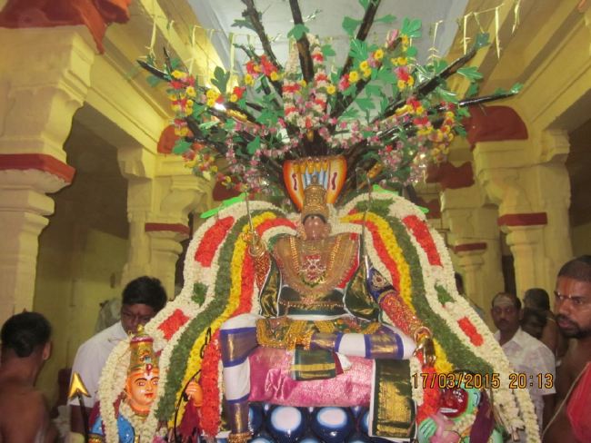 Mannargudi Sri Rajagopalan Temple Brahmotsavam day 8 2015 -07
