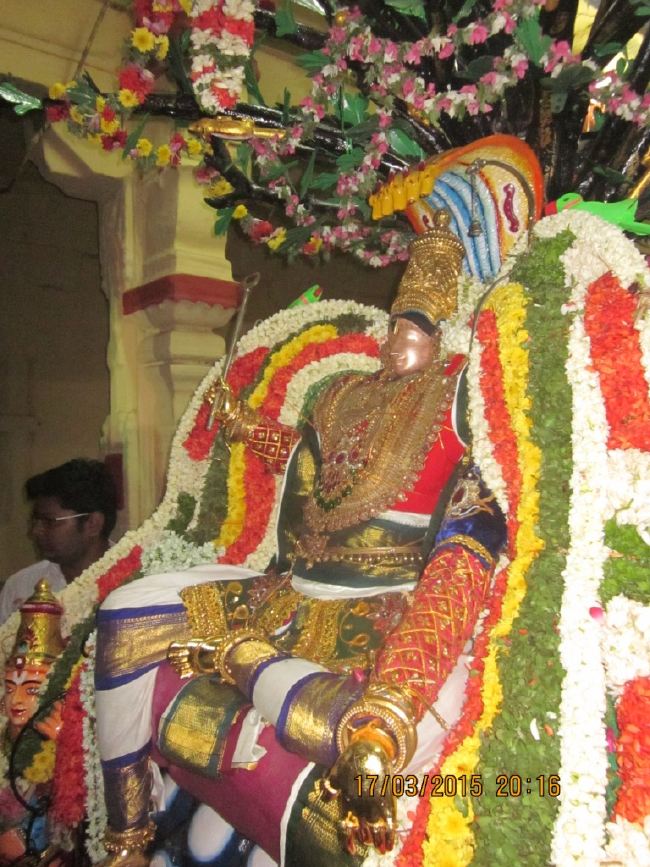 Mannargudi Sri Rajagopalan Temple Brahmotsavam day 8 2015 -12