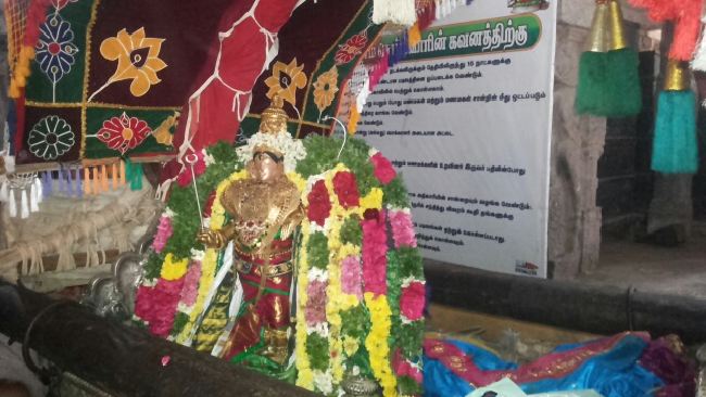 Mannargudi Sri Rajagopalan Temple Brahmotsavam day 8 Morning PUrappadu 2015 -01