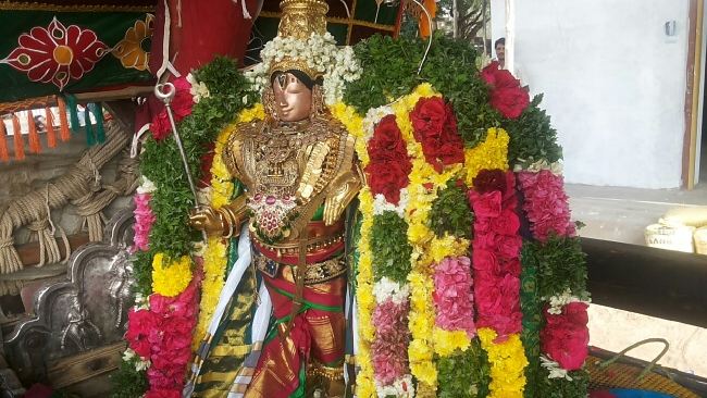 Mannargudi Sri Rajagopalan Temple Brahmotsavam day 8 Morning PUrappadu 2015 -04
