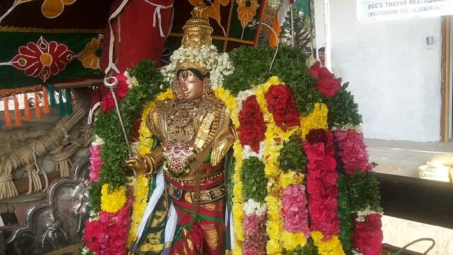 Mannargudi Sri Rajagopalan Temple Brahmotsavam day 8 Morning PUrappadu 2015 -05