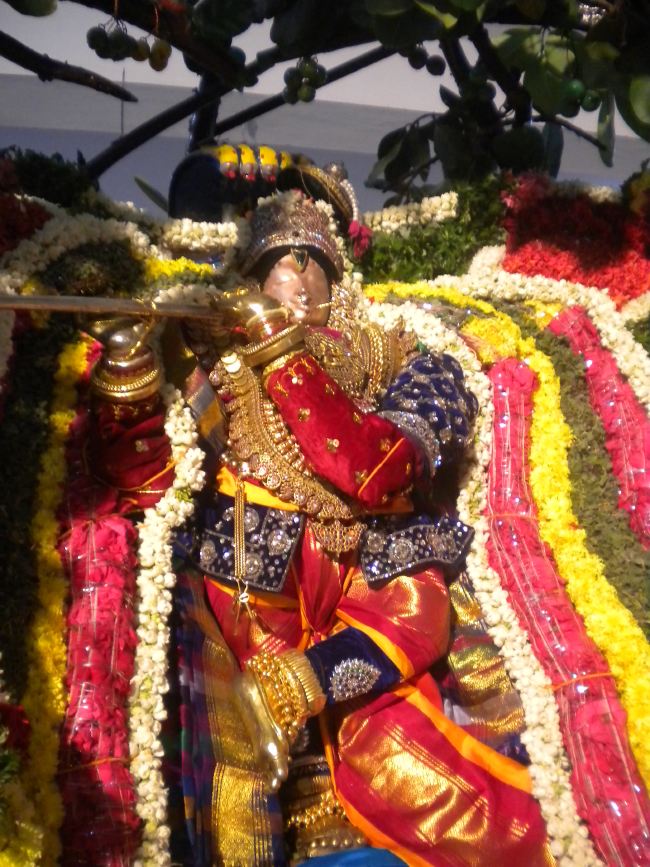 Mannargudi Sri Rajagopalaswami Temple Brahmotsavam day 2 2015 -03