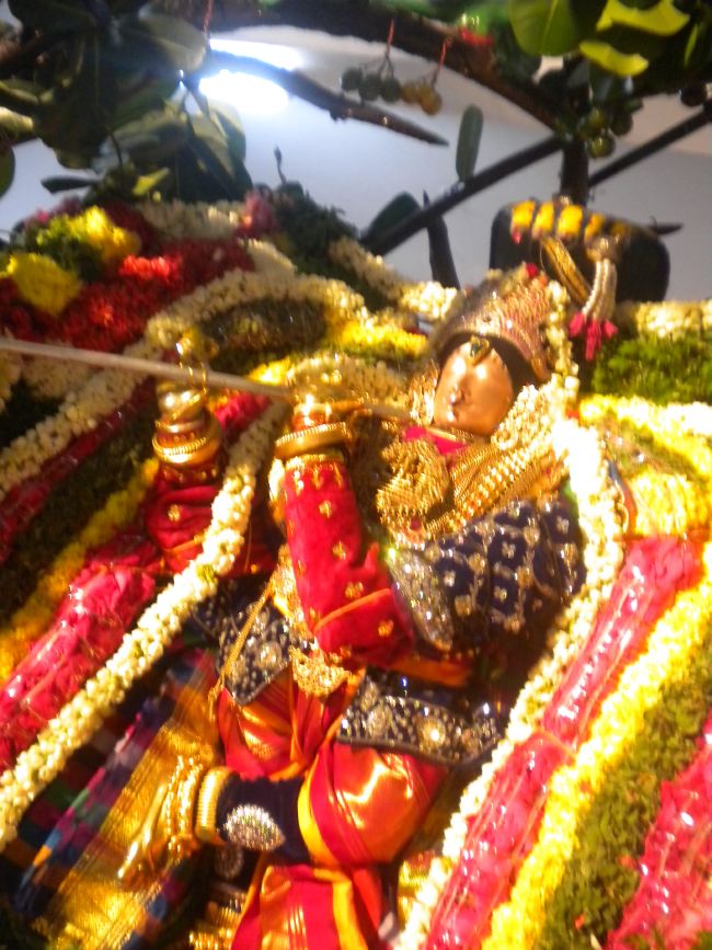 Mannargudi Sri Rajagopalaswami Temple Brahmotsavam day 2 2015 -05