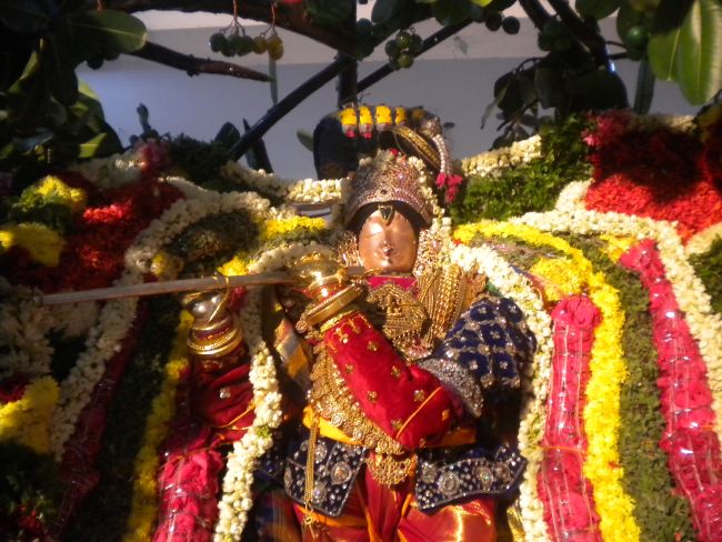 Mannargudi Sri Rajagopalaswami Temple Brahmotsavam day 2 2015 -10