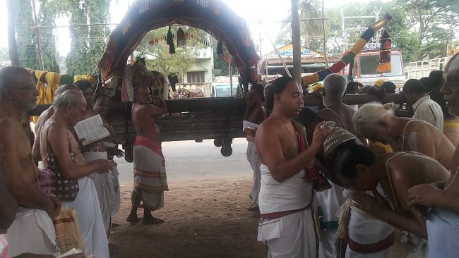 Mannargudi Sri Rajagopalaswami Temple Brahmotsavam day 5 2015 -08